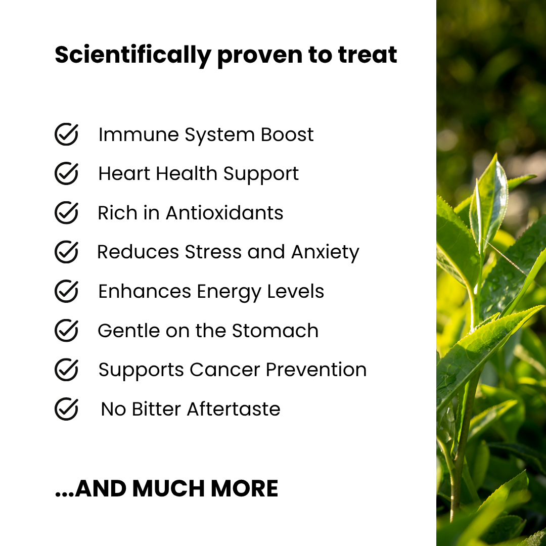 100% Pure Organic Soursop Leaf tea
